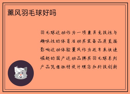 薰风羽毛球好吗